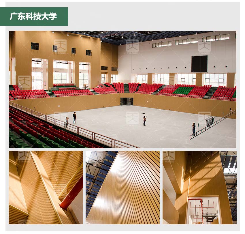 教室槽木吸音板體育館工程案例 教室槽木吸音板體育館工程案例