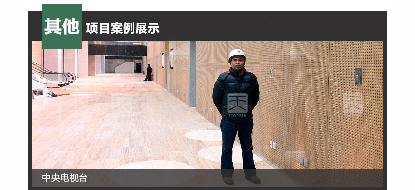 防火孔木吸音板工程案例 防火孔木吸音板工程案例