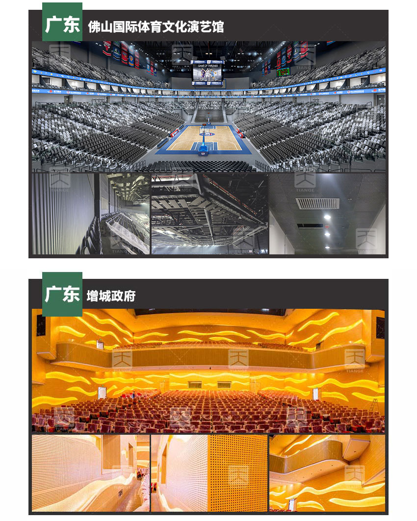 多功能廳堂孔木吸音板工程案例 多功能廳堂孔木吸音板工程案例