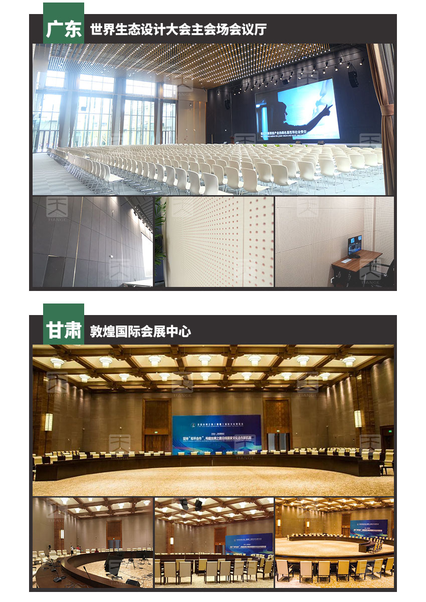 禮堂孔木吸音板工程案例 禮堂孔木吸音板工程案例