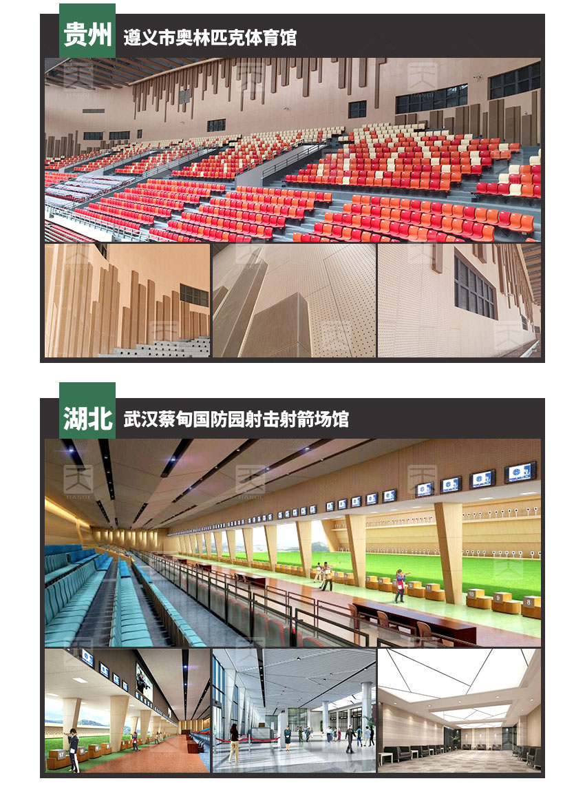 會議室穿孔木質吸音板工程案例