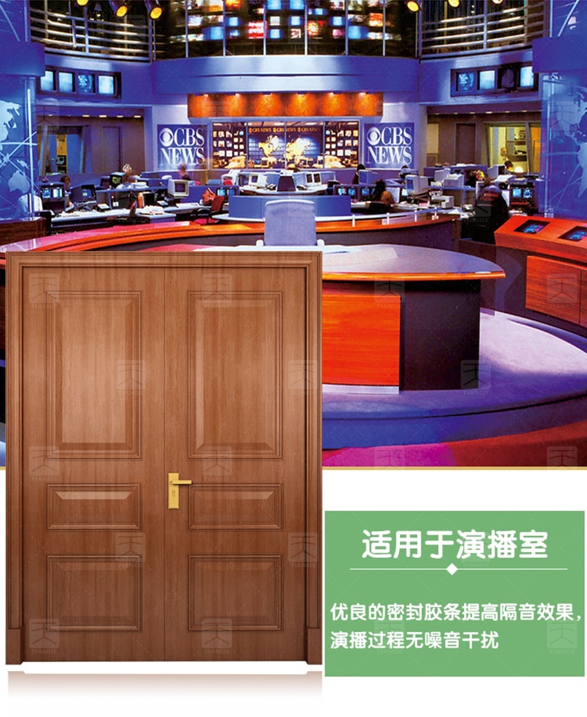 鋼質木紋隔音門-9 鋼質木紋隔音門-9