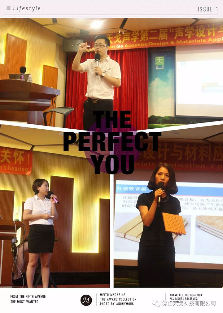 天戈聲學專利產品介紹及運用 天戈聲學專利產品介紹及運用