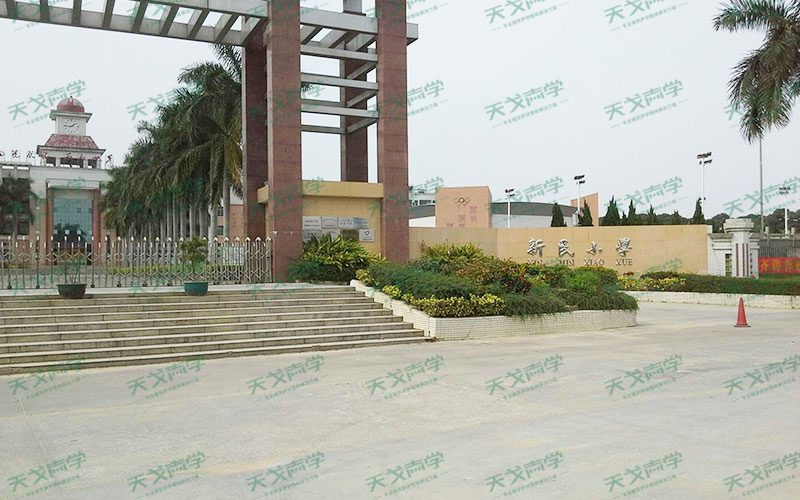 廣東東莞新民小學體育館聲學設計工程