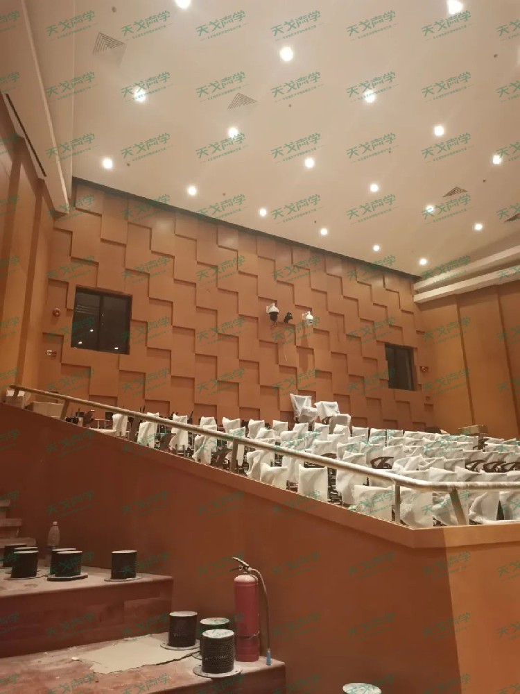 廣東深圳大劇院聲學設計工程